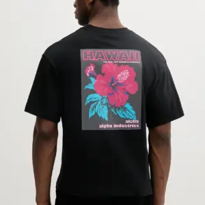 Noxx Чоловіча футболка з принтом Alpha Industries, Чорний Noxx Чоловіча футболка з принтом Alpha Industries, Чорний