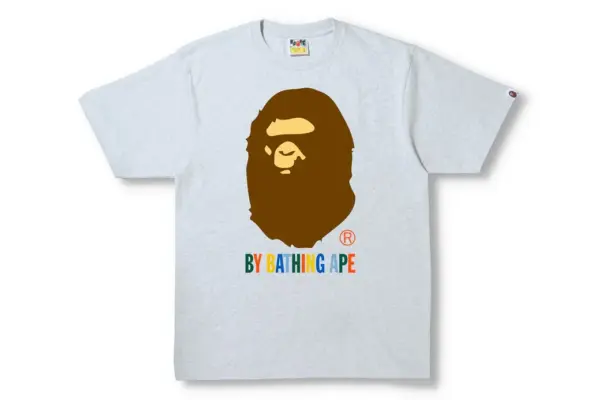Noxx Чоловіча футболка з принтом BAPE COLORS BY BATHING APE, Сірий Noxx Чоловіча футболка з принтом BAPE COLORS BY BATHING APE, Сірий