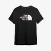 Noxx Футболка с принтом "The North Fake" (The North Face)